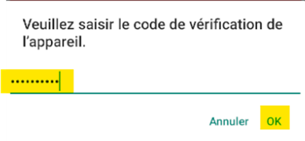 Saisie du code de vérification de la caméra