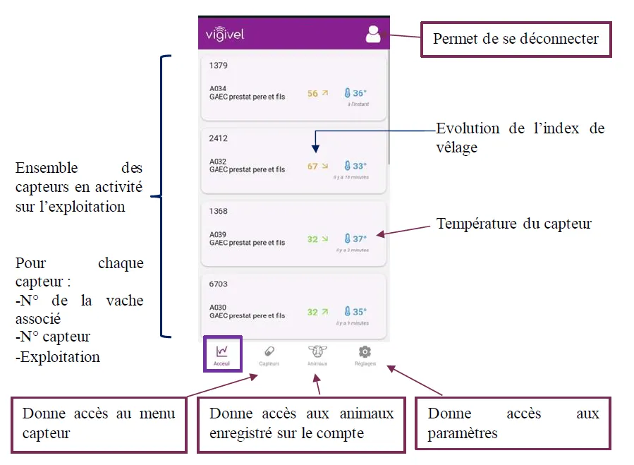 Dashboard der Vigivel-App